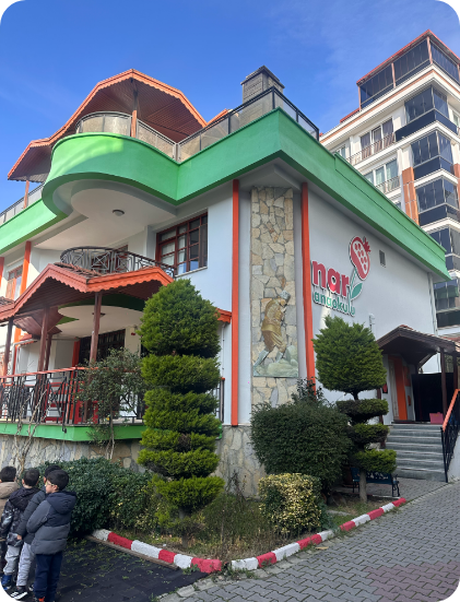 Nar Anaokulu yaklaşım görseli